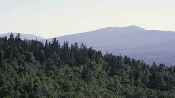 majestueux panorama de vert montagnes avec ensoleillé poutres. montagnes dans de bonne heure Matin brume. été paysage. brouillard de conifère forêt entoure le Montagne Haut dans le coucher du soleil lumière photo