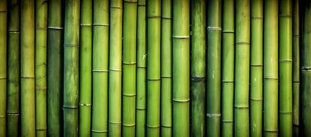 ai généré Naturel vert bambou Contexte. photo