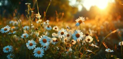 ai généré une été Prairie plein de fleurs sauvages photo