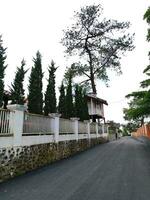 blanc villa clôture avec pavé rural route et pin des arbres photo