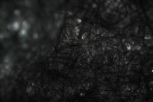 fibres de papier de soie sous le microscope photo