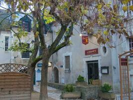 une arbre avec marron feuilles photo