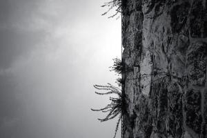 faible angle de vue d'une partie de l'ancien mur de pierre photo