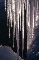 une grand stalactite pendaison de une falaise photo