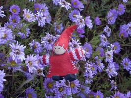 petit gnome rouge sur fond de fleurs photo