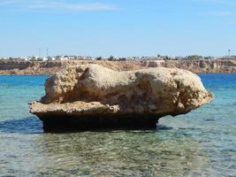 texture de pierre sur la mer rouge d'égypte photo