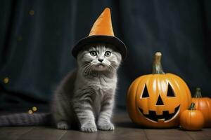 ai généré magnifique peu Écossais tigré chat avec Halloween chapeau photo