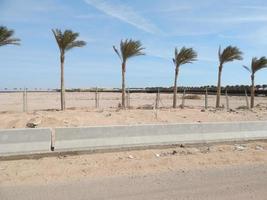 repos dans une ville de villégiature et hôtels en égypte sharm el sheikh photo