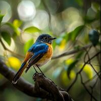 ai généré photographier de une magnifique coloré oiseau dans le amazone forêt tropicale dans Brésil photo