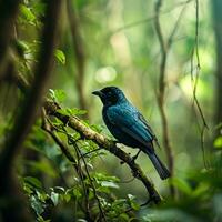 ai généré photographier de une magnifique coloré oiseau dans le amazone forêt tropicale dans Brésil photo