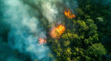 ai généré feux de forêt catastrophe des brûlures les forêts et provoquant écologie dommage avec fumée et Feu photo