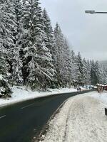 hiver paysage avec neigeux montagnes et des arbres incroyable hiver Contexte photo