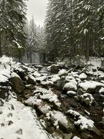 hiver paysage avec neigeux montagnes et des arbres incroyable hiver Contexte photo