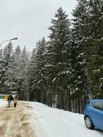 hiver paysage avec neigeux montagnes et des arbres incroyable hiver Contexte photo