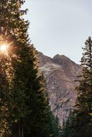 Soleil brillant par le des arbres avec une rocheux Montagne sur le Contexte photo