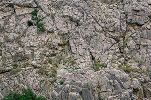 paysage, texture - pur rocheux mur avec des fissures et végétation photo