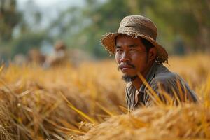 ai généré asiatique agriculteur sur le champ parmi le paille pendant battage photo