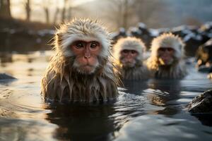 ai généré Jeune neige singes asseoir dans une chaud printemps dans hiver photo