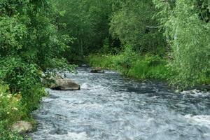 vite Montagne rivière entre boisé banques photo