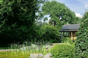 petit Japonais jardin avec carex étang et thé maison photo