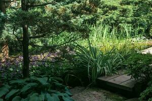 végétation dans une Japonais jardin sur le rive de une décoratif étang avec une en bois zigzag pont photo