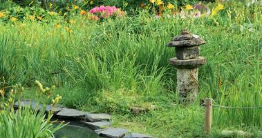 pierre lanterne parmi herbe sur le banque de une étang dans une Japonais jardin photo