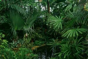 tropical les plantes plus de une étang dans le intérieur de une grand serre photo