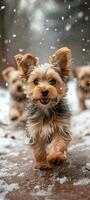 ai généré beaucoup Yorkshire chiots en jouant dans le neige photo