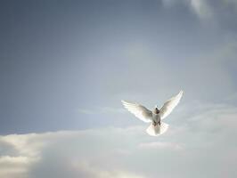 ai généré blanc Pigeon ou Colombe en volant dans nuageux ciel photo
