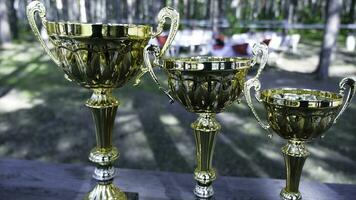 Trois gagnant tasses de le frist seconde et le troisième endroit dans le podium, Extérieur. agrafe. trophées photo