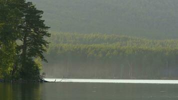 magnifique bleu clair l'eau sur le rive de le lac. vue de le Lac de le les bois photo