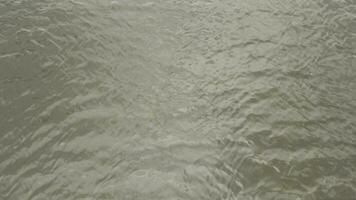 l'eau surface avec ondulations et rayons de soleil réflexion. Stock images. été rivière Contexte avec petit vagues de sale l'eau. photo