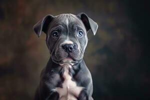 ai généré nationale chiot journée avec mignonne de race bleu nez américain brute chiot photo