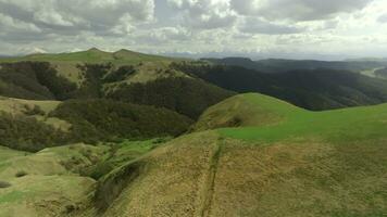 Haut vue de collines avec vert herbe et clairsemé forêt. tir. magnifique paysage avec panorama de Montagne collines et vert herbe sur ensoleillé été journée. collines avec vert herbe et clairsemé forêt sur photo