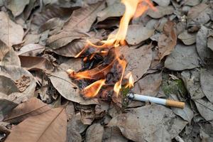 gros mégot de cigarette non fumé négligemment jeté dans l'herbe sèche sur le sol provoquant un dangereux incendie de forêt photo
