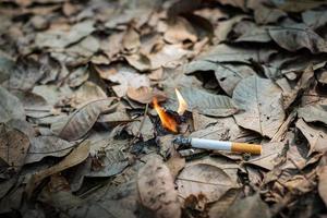 les mégots de cigarettes en gros plan non fumés sont jetés négligemment dans l'herbe sèche sur le sol provoquant un incendie de forêt dangereux, une cotostrophie écologique par le biais du concept de faute humaine photo