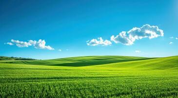 ai généré une vert champ par le Soleil photo