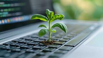 ai généré génératif ai, plante croissance de le portable clavier. écologie et environnement concept photo