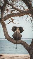 ai généré un l'éléphant séance sur une sans feuilles branche photo