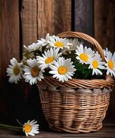 ai généré marguerites sur une en bois sol photo