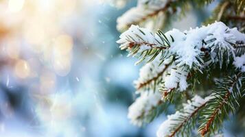 ai généré extrême fermer de une couvert de neige pin ou épicéa brin sur une floue hiver paysage avec copie espace. modèle pour une Noël ou Nouveau année salutation carte photo