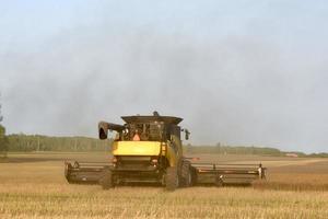 moissonneuse-batteuse jaune coupant une récolte courte photo