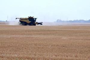 moissonneuse-batteuse jaune travaillant dans un champ photo