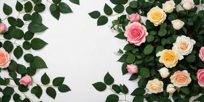 ai généré coloré Rose fleur cadres sur blanc Contexte. photo