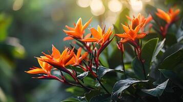 ai généré exotique élégance - Extérieur délice avec oiseau de paradis fleurs et enchanteur bokeh Contexte photo