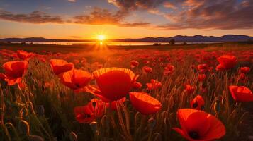 ai généré paysage photo champ de rouge coquelicots à le coucher du soleil