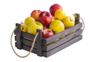 mûr pommes dans une en bois boîte. rouge et Jaune pommes isoler. des fruits, en bonne santé aliments. photo