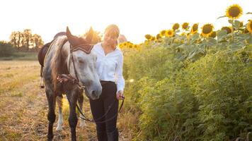 femme aime une cheval. l'amour et relation amicale pour le animal, se soucier photo