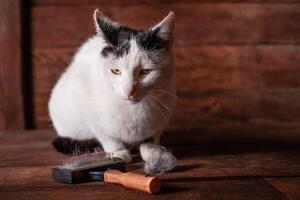 une noir et blanc chat mensonges sur une marron tableau, tout couvert dans laine. photo