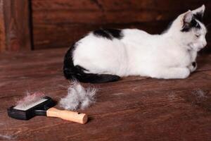 une noir et blanc chat mensonges sur une marron tableau, tout couvert dans laine. photo